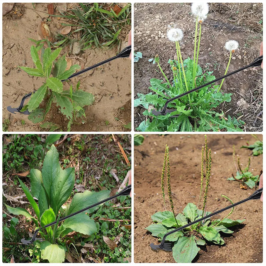 Garden Hoe - Manual Tool for Weeding and Cultivation