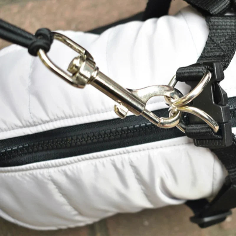 Cintura Elastica per Trazione Bici con Cani – Guinzaglio Mani Libere per Jogging