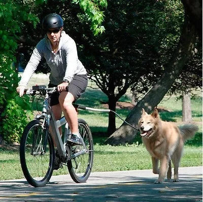 Cintura Elastica per Trazione Bici con Cani – Guinzaglio Mani Libere per Jogging
